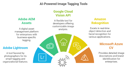 Top Tools for AI-Powered Image Tagging