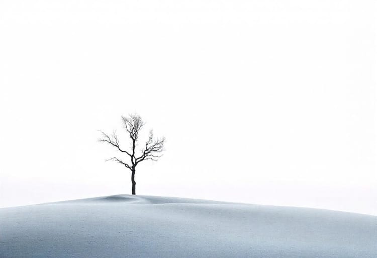 The Essential Guide to Minimalist Photography